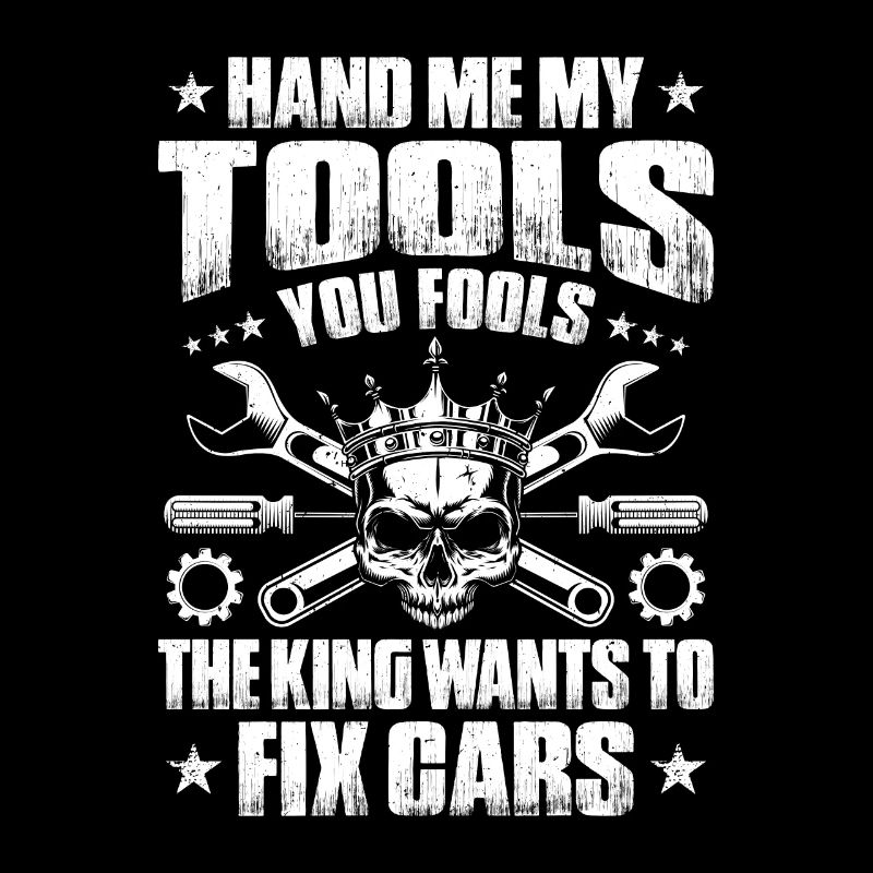 Automotive Mechatronics Engineer Car Mechanic Auto Mechanic