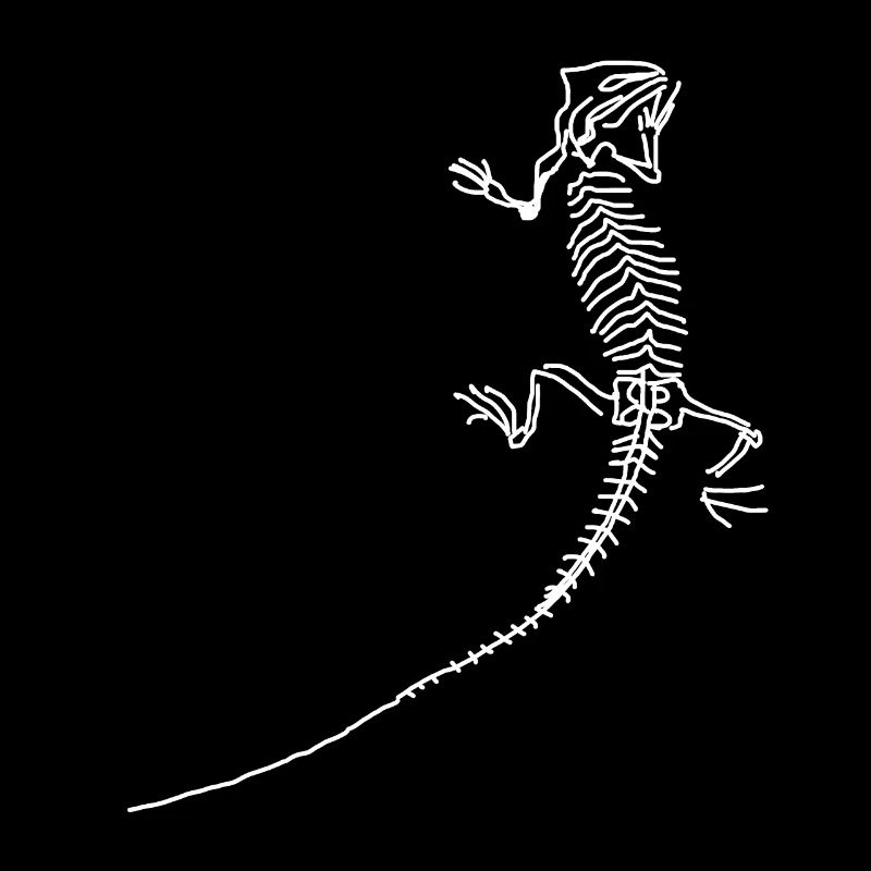 Dinosaurs, fossils, paleontologist,