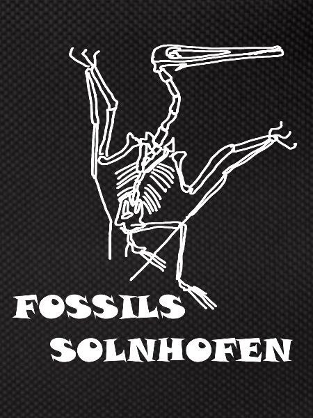 Dinosaurs, fossils, paleontologist,