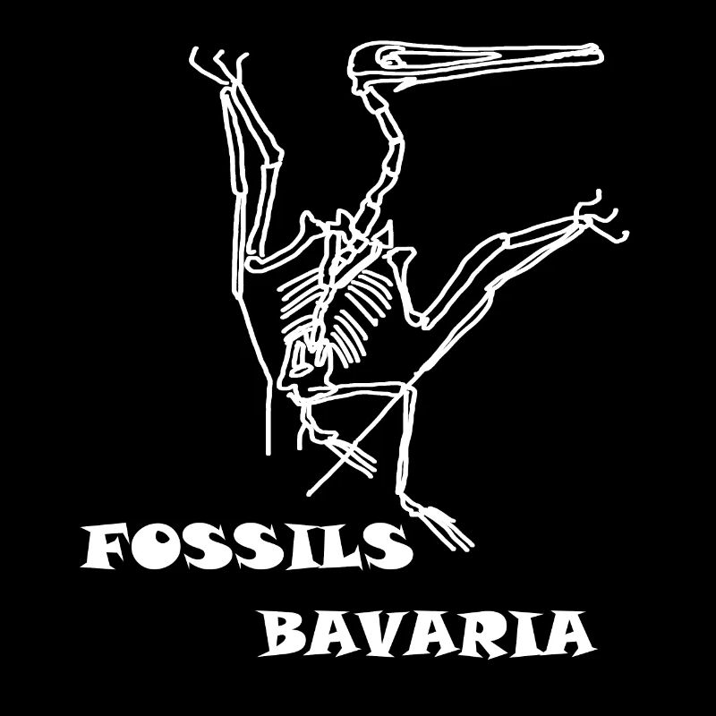 Dinosaurs, fossils, paleontologist,
