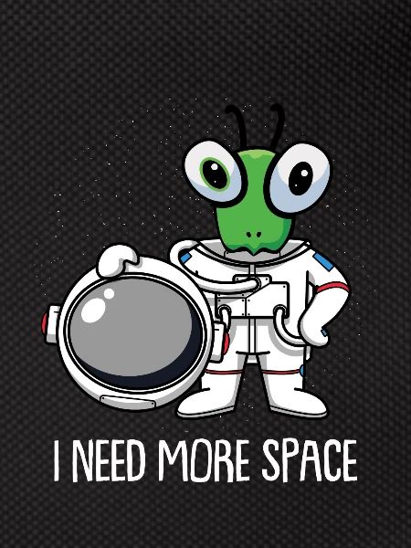 Mantis Praying Mantis Astronaut