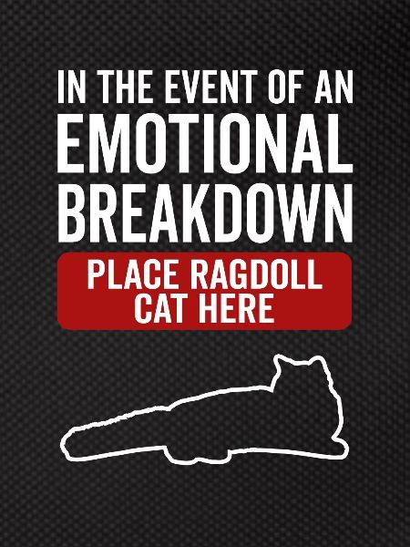 Émotionnel - Ragdoll Cat