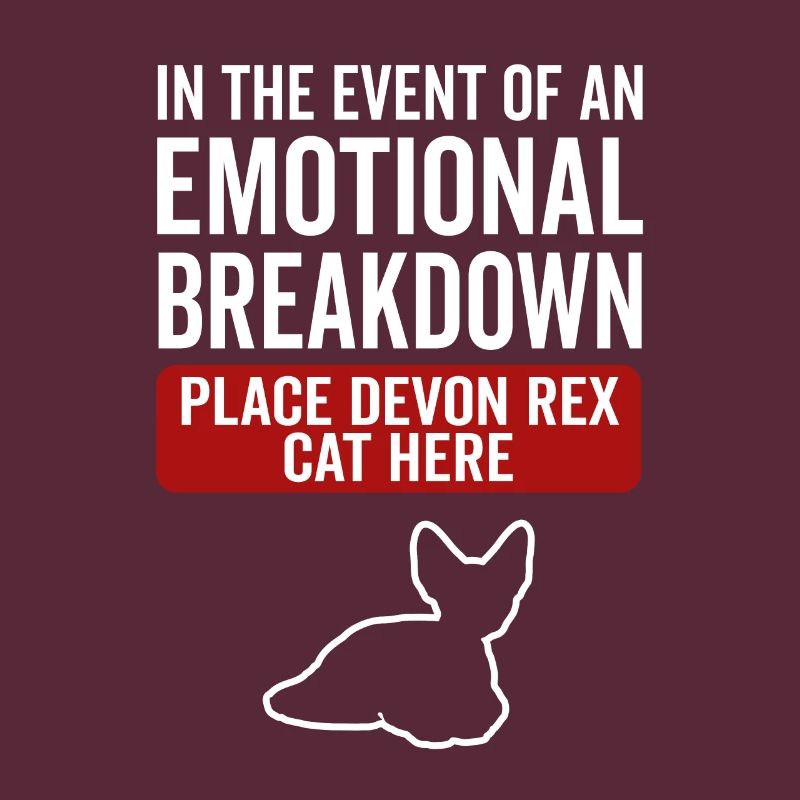 Emotional - Devon Rex Cat