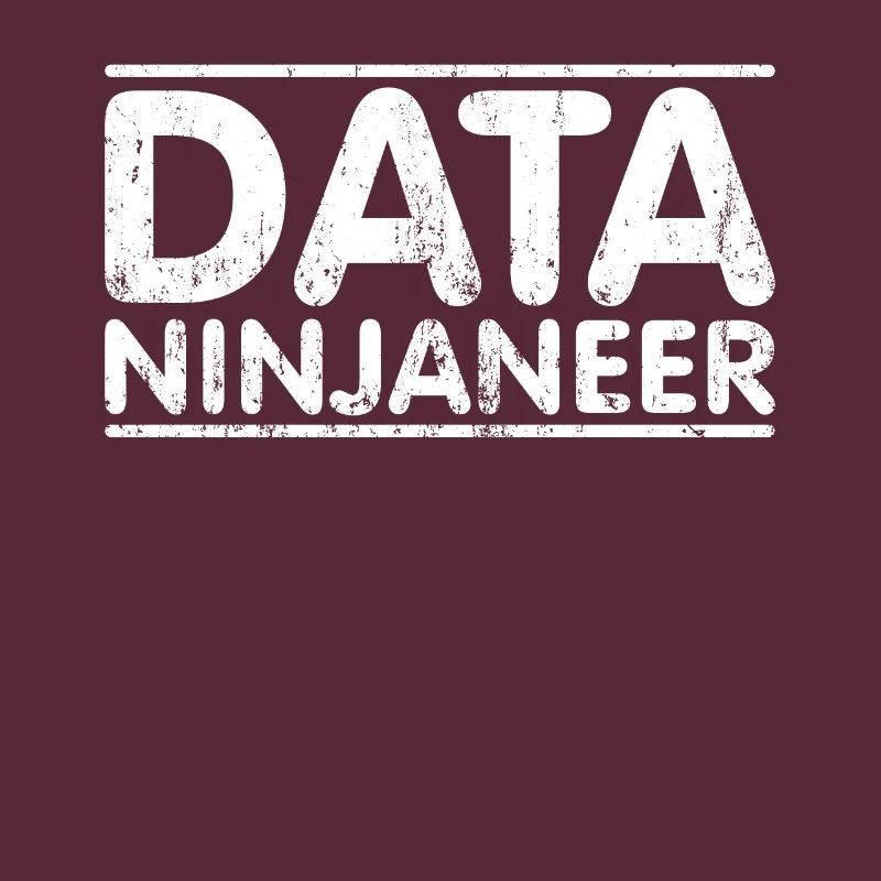 Ninjaneer - Data Engineer