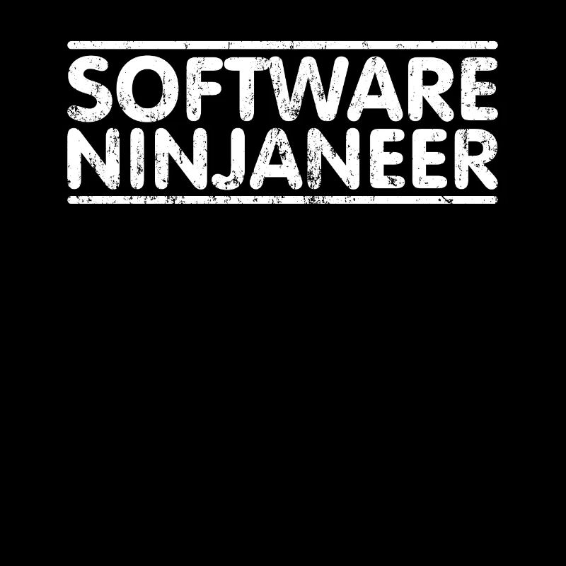 Ninjaneer - Software -Ingenieur