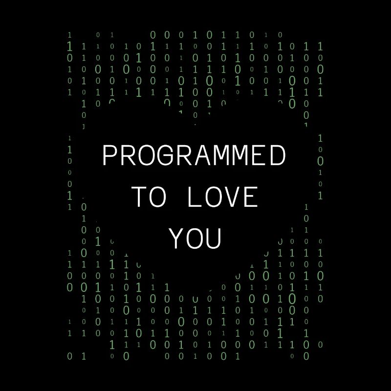 Entwickler Coder Programmierer