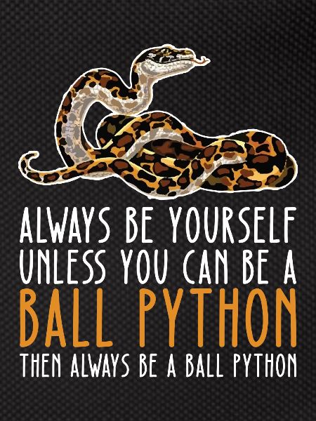 Be Yourself – King Python
