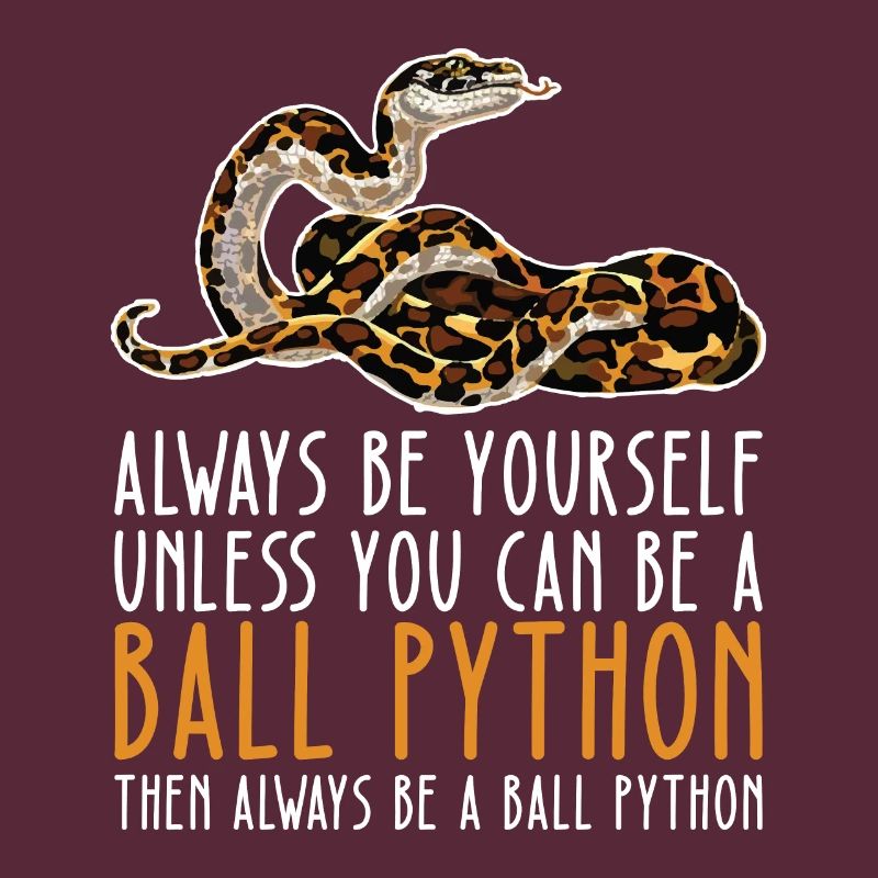 Soyez vous-même – King Python