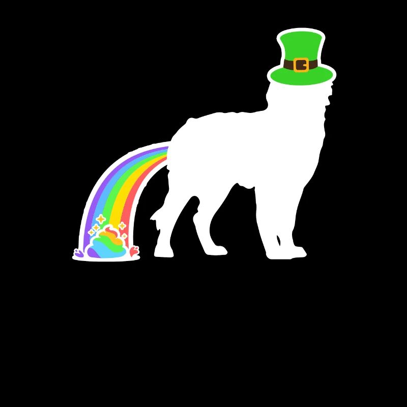 St. Patricks Hund - Bernedoodle