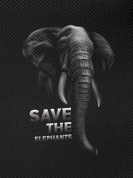 Save the elephants