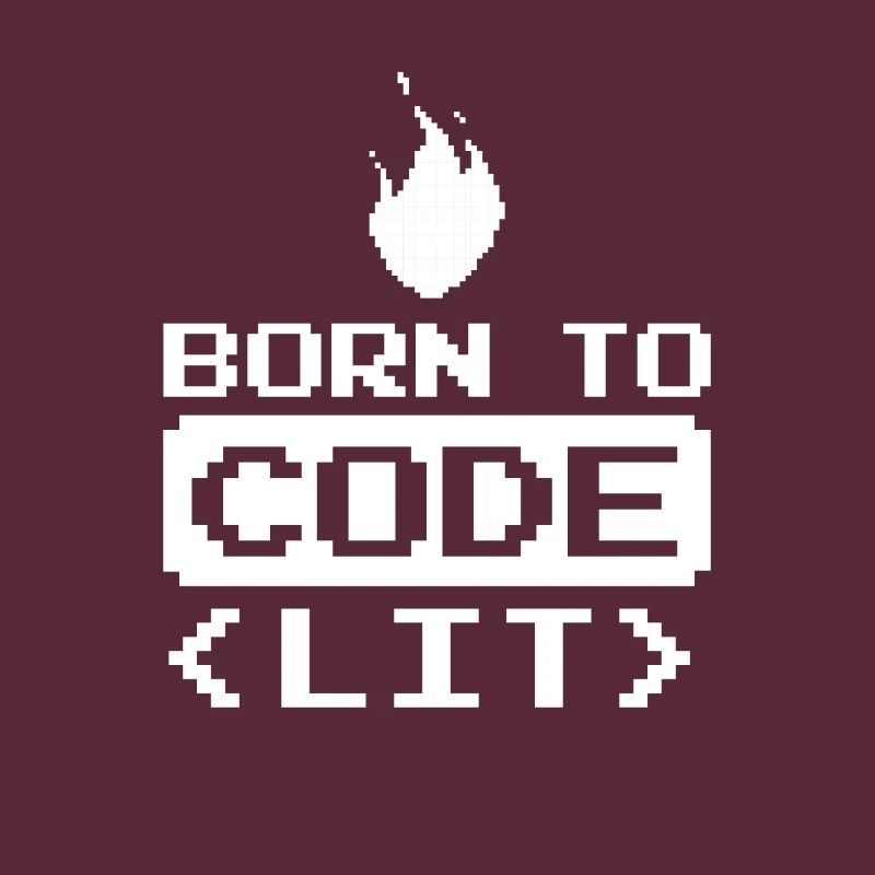 Developer Coder Programmer Funny