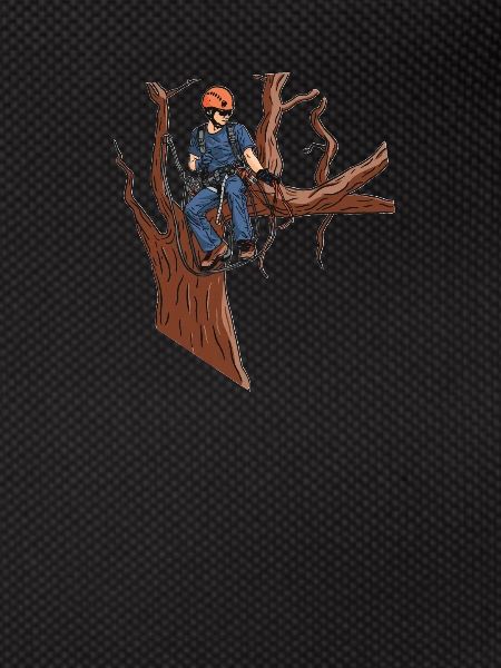 Baumpfleger Baumkletterer Arborist Baumklettern