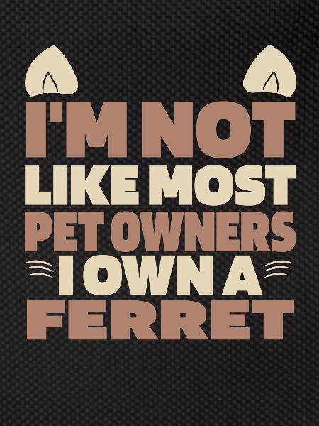 Ferret polecat