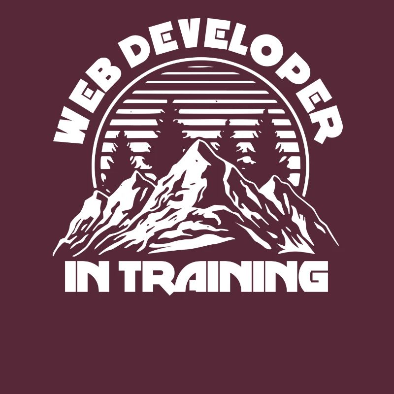 Web Developer Web Developer Training