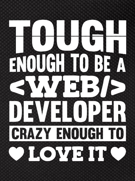 Web Developer Web Developer