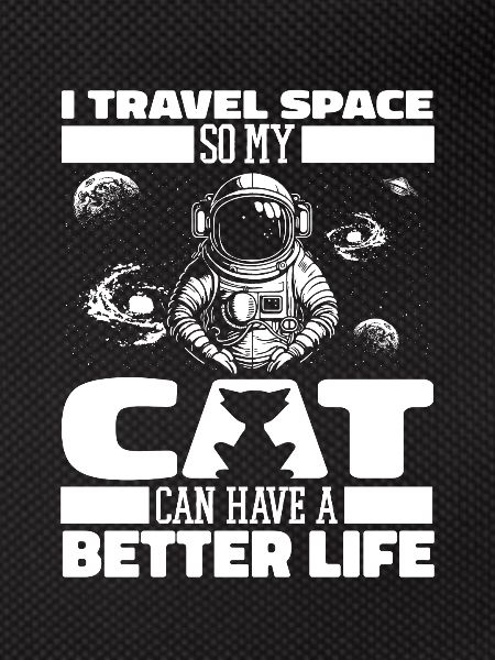Astronaut, astronaut, cosmonaut, cat