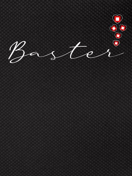 Baster
