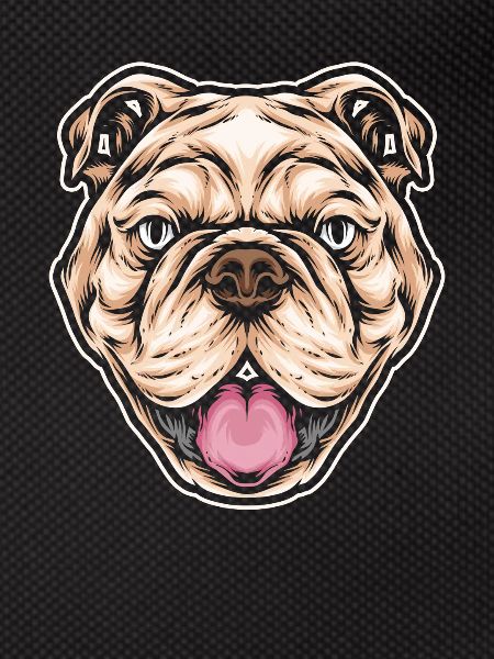 Pitbull Pitbull Verbot