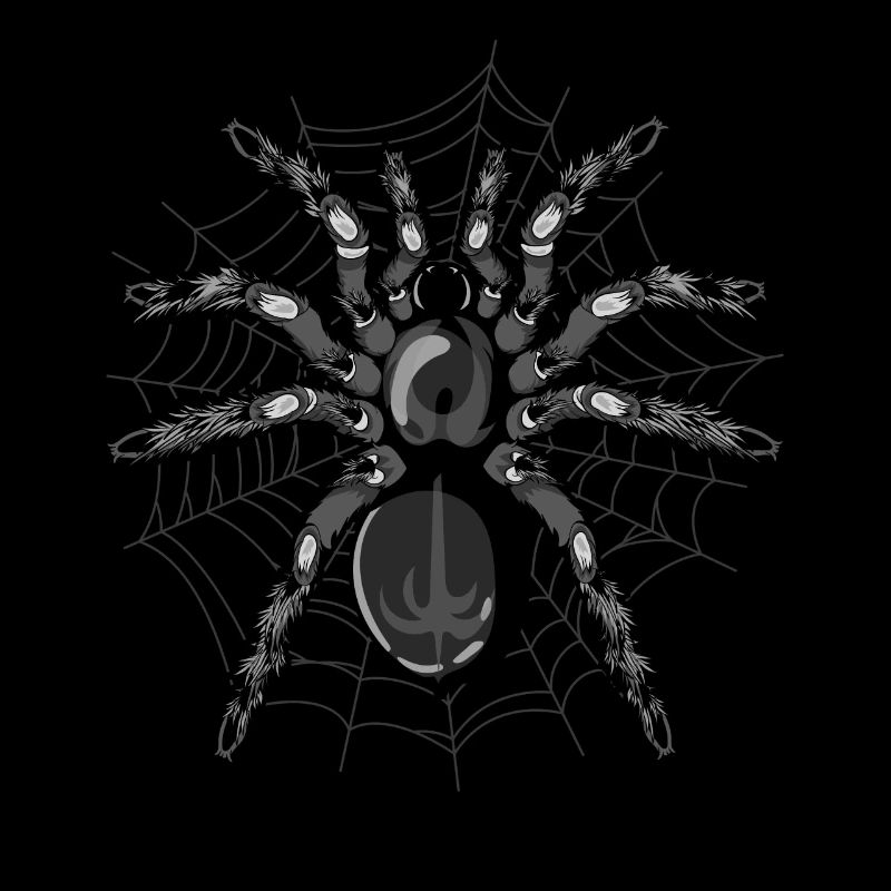 Tarantula Animal Lover Tarantula Gift Spider