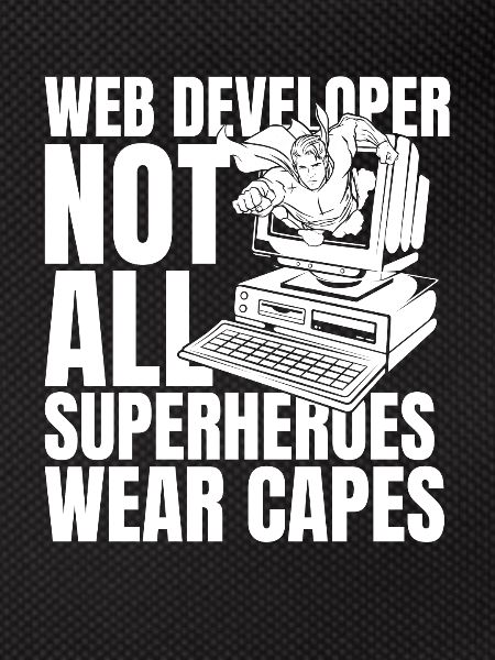 Web Developer Web Developer