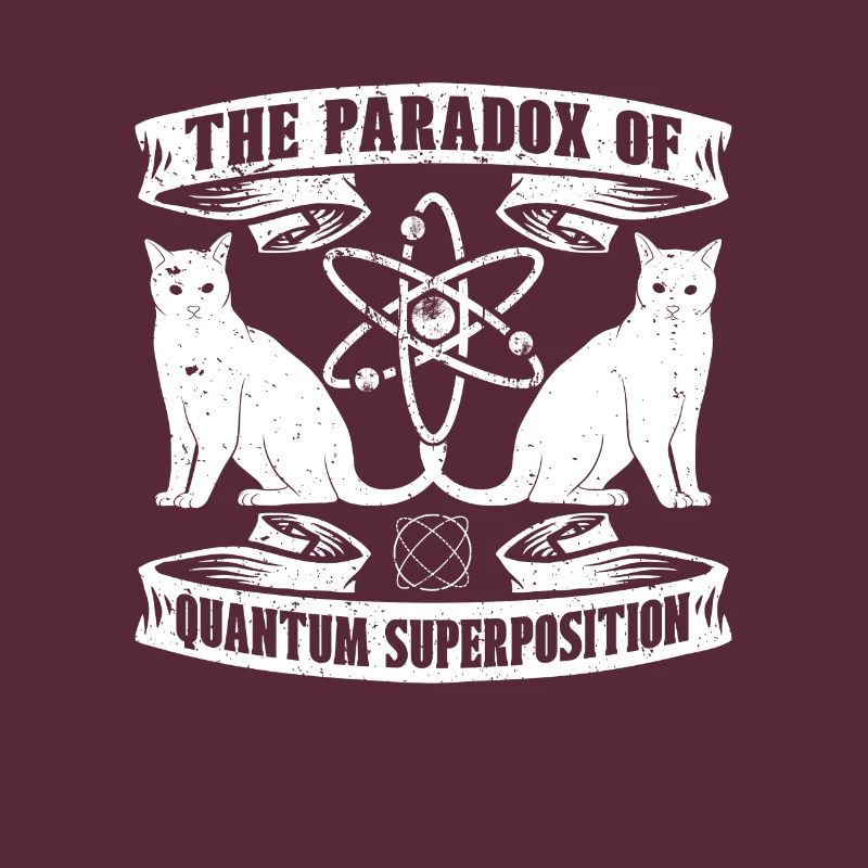 Physics Physicists Paradox Quantum Physics