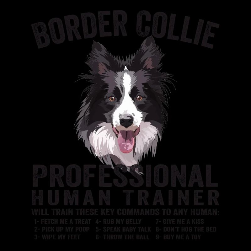 Beautiful Border Collie Pro Human Trainer Border