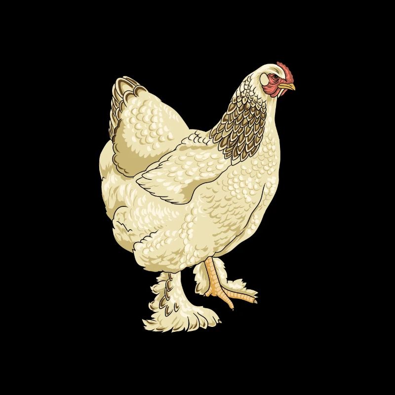 Brahma