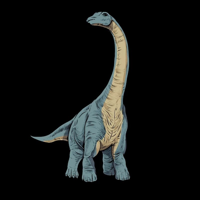 Drawing of the Apatosaurus