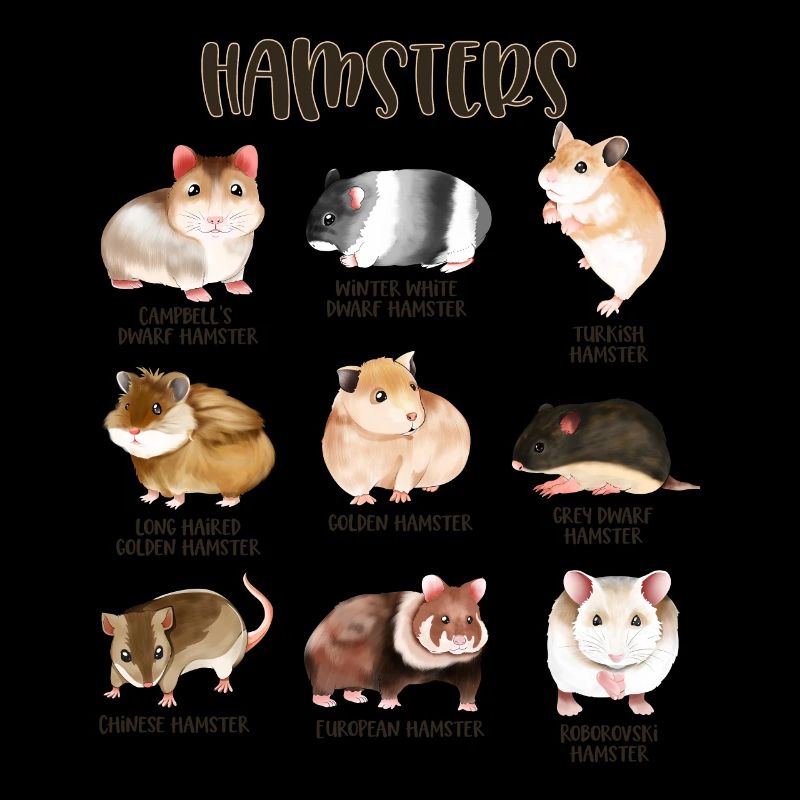 Beaucoup de hamsters différents