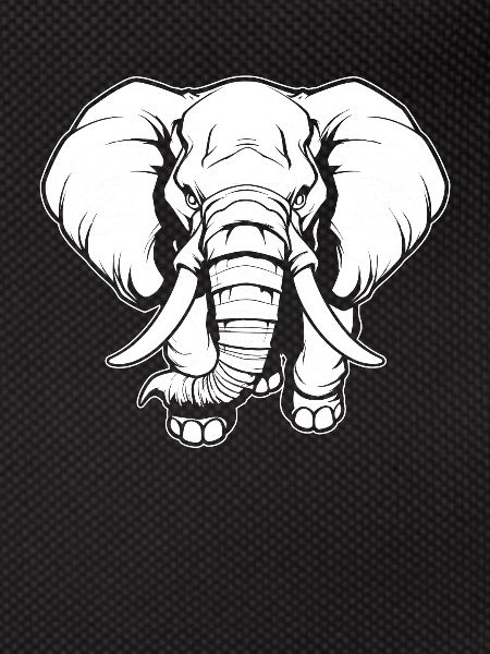 Elephant Angry