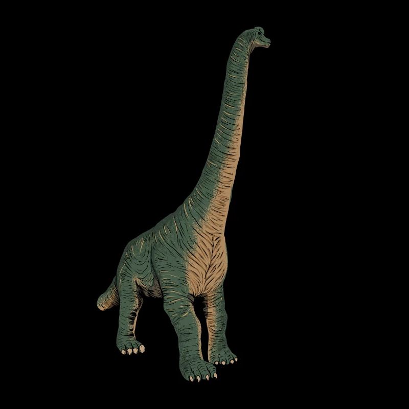 Drawing of the Brachiosaurus