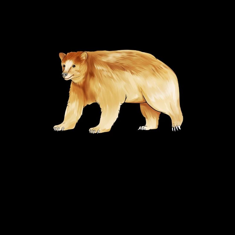 Zeichnung eines Kermodebär