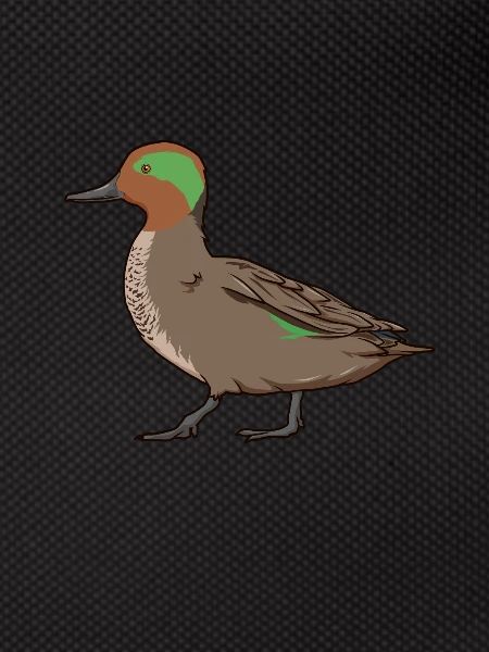 Drawing of a teal