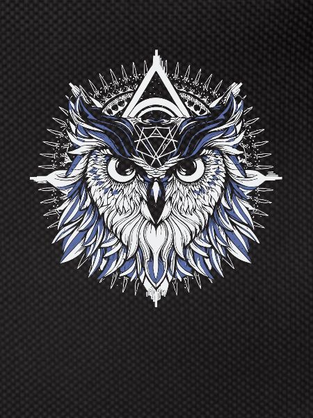 Owl Abstract