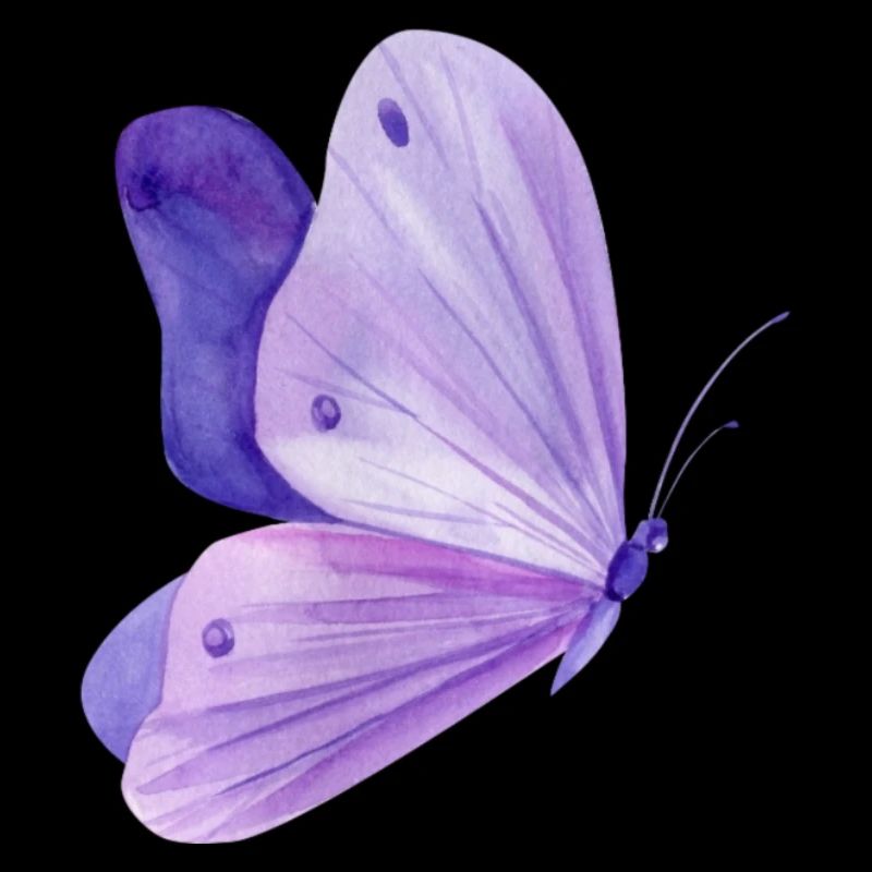 Papillon