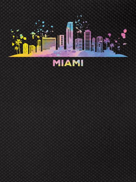 Miamian Skyline Miami