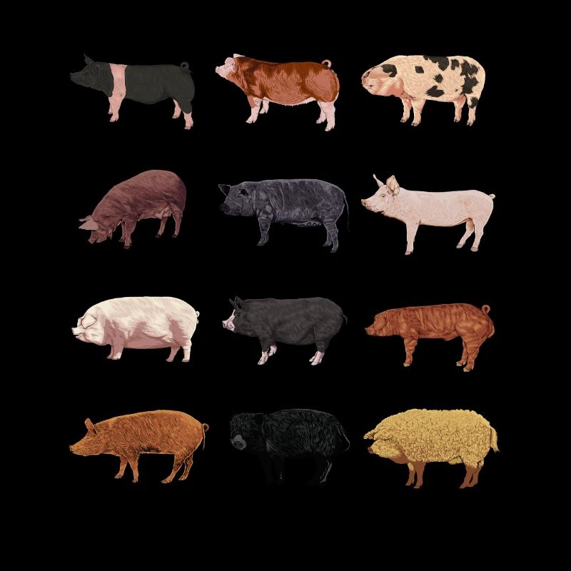 Dessins de cochon - Motif de cochon