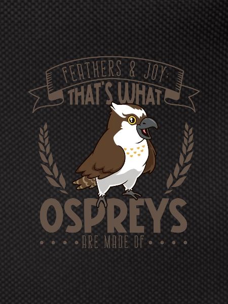 Feathers and Joy - Osprey