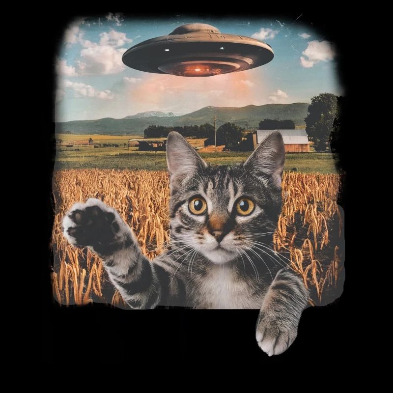 Lustige Ängstliche Katze Selfie UFO Alien