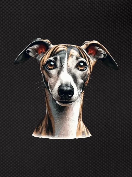 Dog Face - Whippet