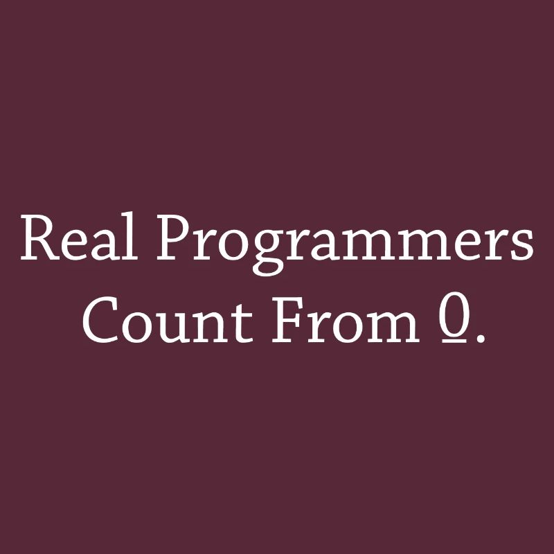 Programmer Coder Software Developer