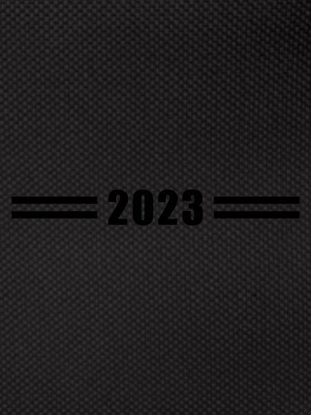 2023 year