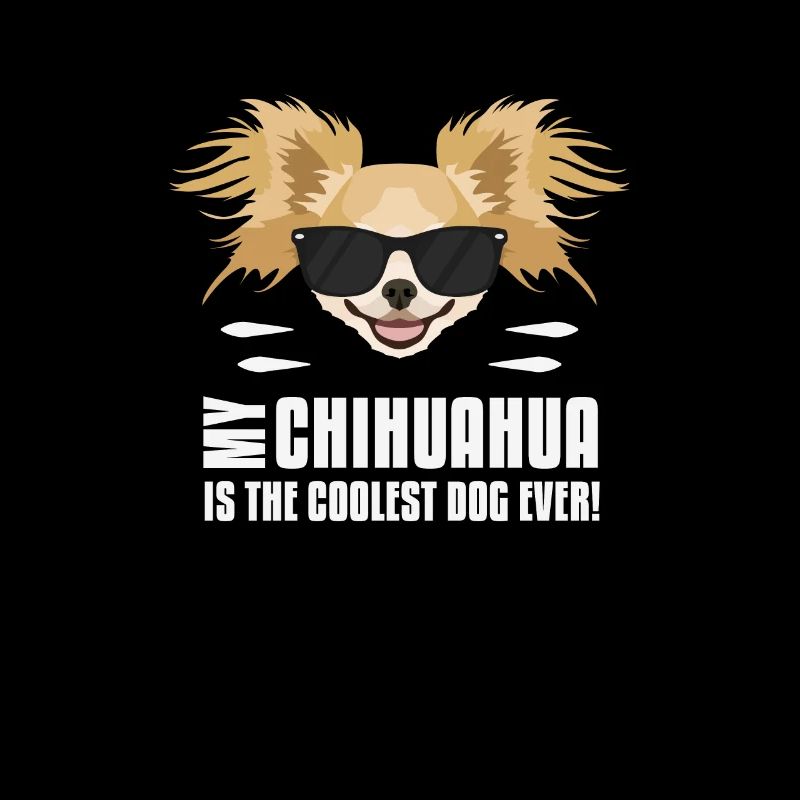 Mon chihuahua est le plus cool