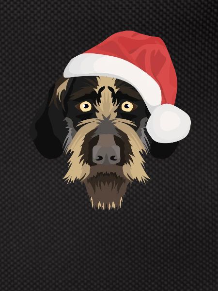 German Wirehair Christmas