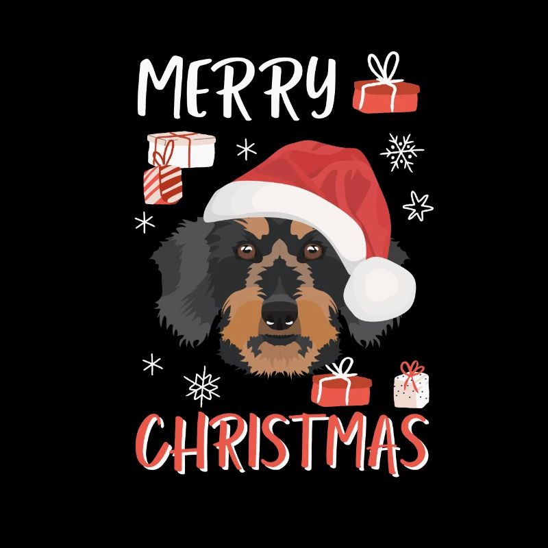 Rough-haired dachshund Christmas