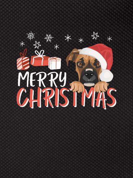 Boxer Joyeux Noël