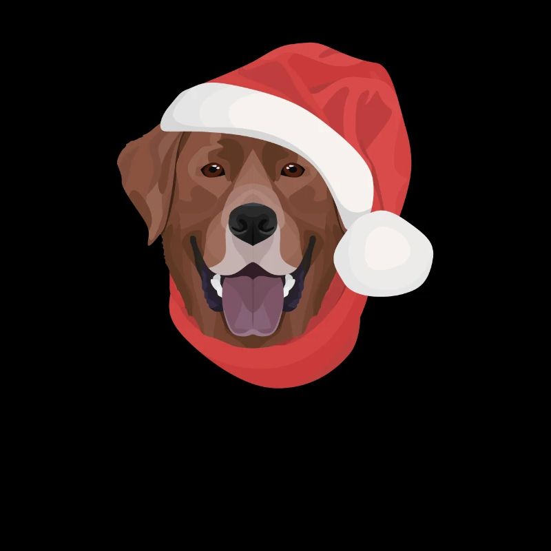 Joyeux Noël Labrador