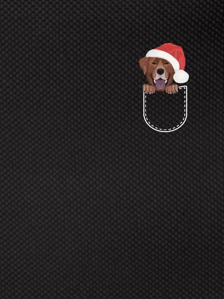 Joyeux Noël Labrador
