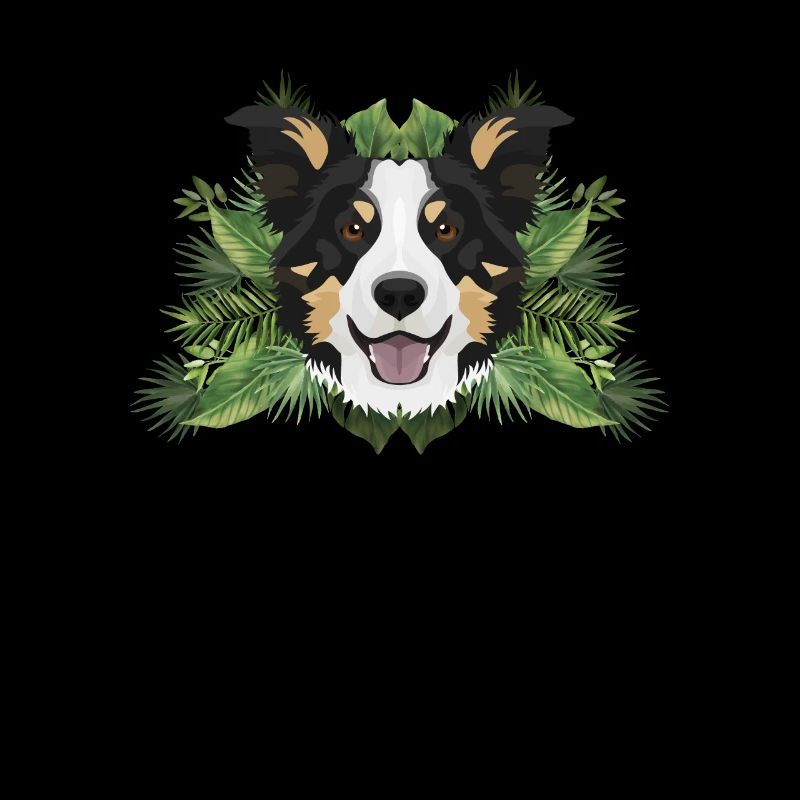 Tropical Border Collie