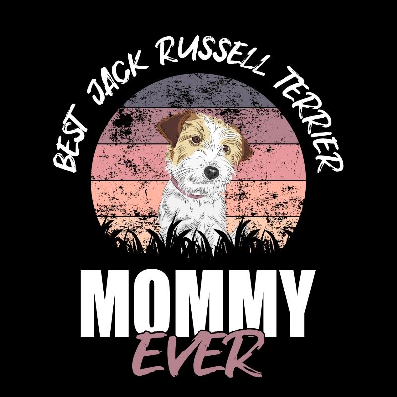 Jack Russell Terrier